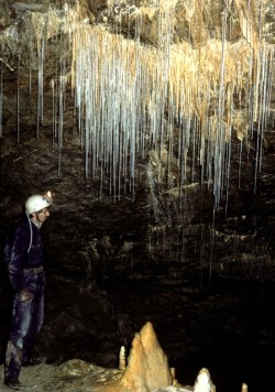 espaňa 83 (13)