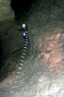espaňa 83 (8)