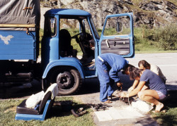 monte canin85 (1)