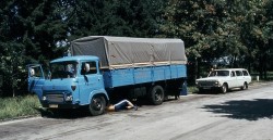 monte canin85 (10)