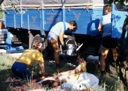 monte canin85 (11)