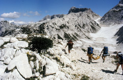 monte canin85 (14)