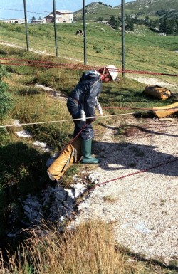 monte canin85 (20)