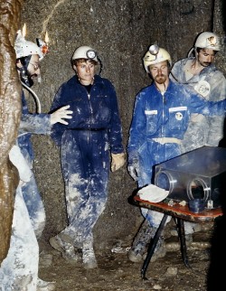 monte canin85 (7)