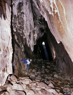 NORSKO88 (10)