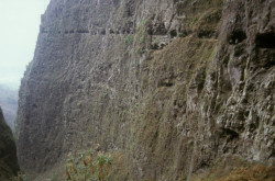 tenerife1