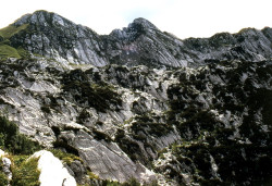 Monte musi 95 (1)
