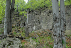 girova1