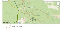 šampionka (1)