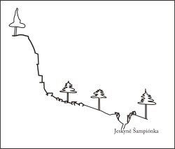 šampionka (3)