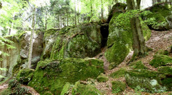 pulčin3