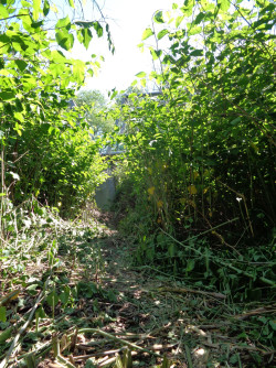 traverz15 (5)