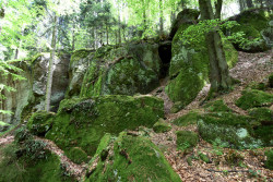 Pulčin