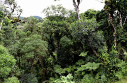 Brazil (7)
