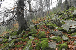 kněhyně17-11 (2)